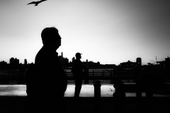 L1000718-Edit