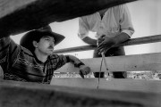 BullRider