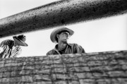 BullRider005