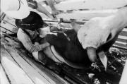 Bull_Rider_001