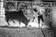 KikersCorner_BullFighter