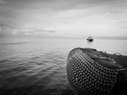 IMG_7788