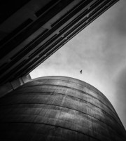 L1000007-Edit